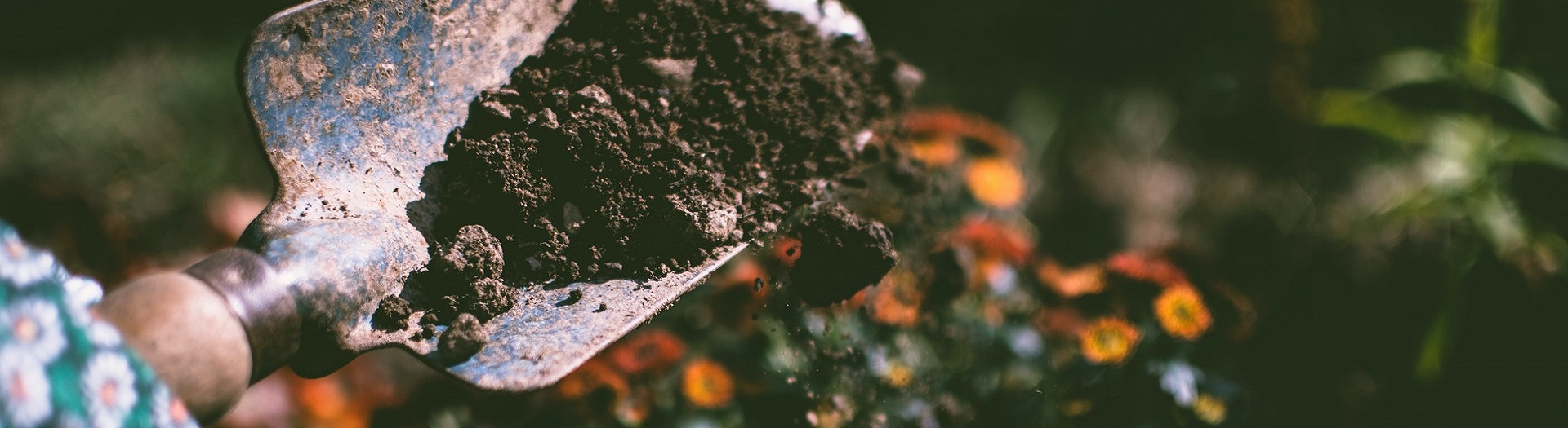 Niet weggooien, maar herwaarderen– Deel 1, de tuin