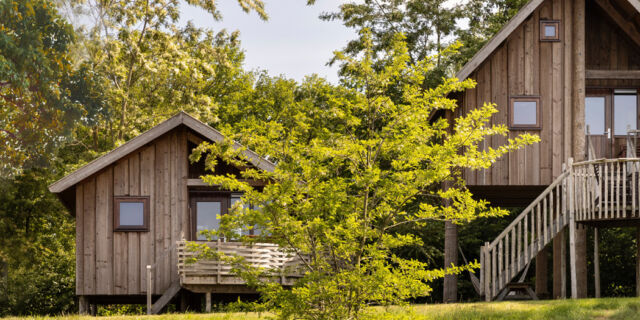 Van villa naar tiny house: Eveline heeft nu meer ruimte over voor leuke dingen